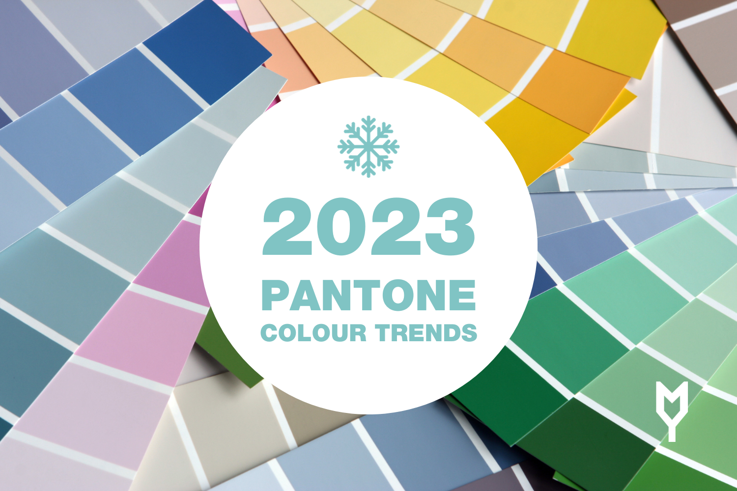 What is The Pantone Color Chart and Why's It Matter for Merch? - Fire Sign  Merch