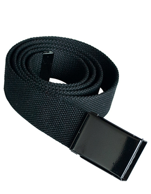 Polyester Belt