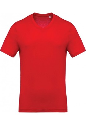 MEN'S V-NECK SHORT SLEEVE T-SHIRT