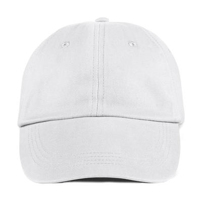 Low-Profile Brushed Twill Cap