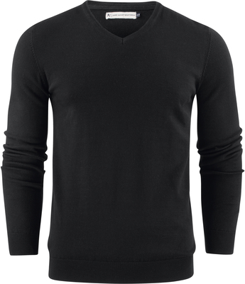 Men's V-Neck Pullover