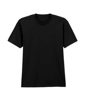 Softstyle Midweight Adult No Label Enzyme Wash T-Shirt