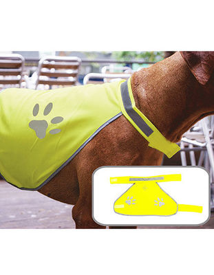 Dog Safety Vest