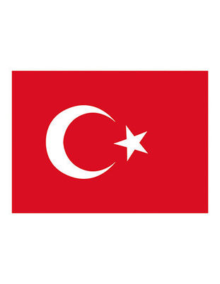 Flag Turkey