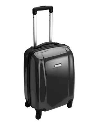 Trolley with four spinner wheels